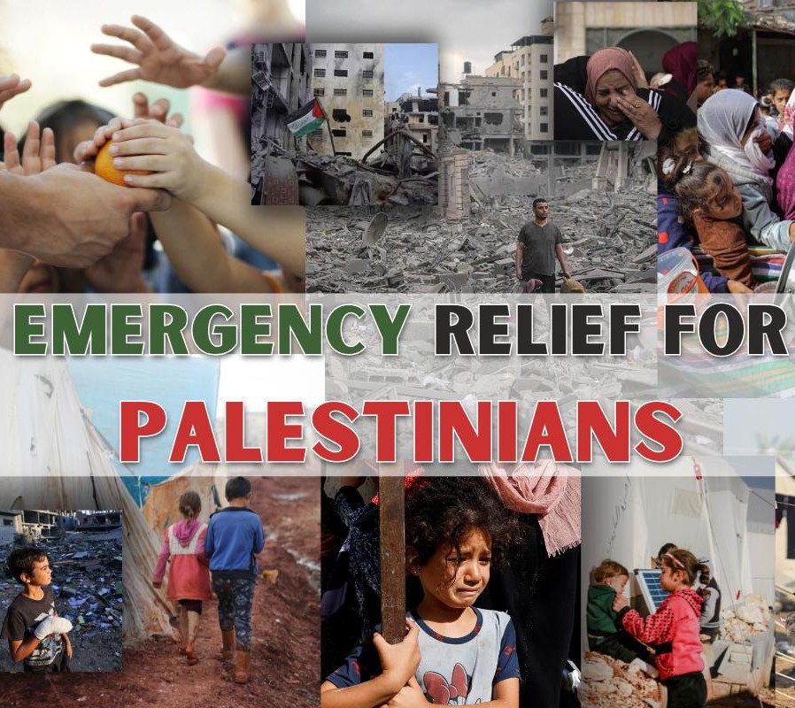 books on palestine